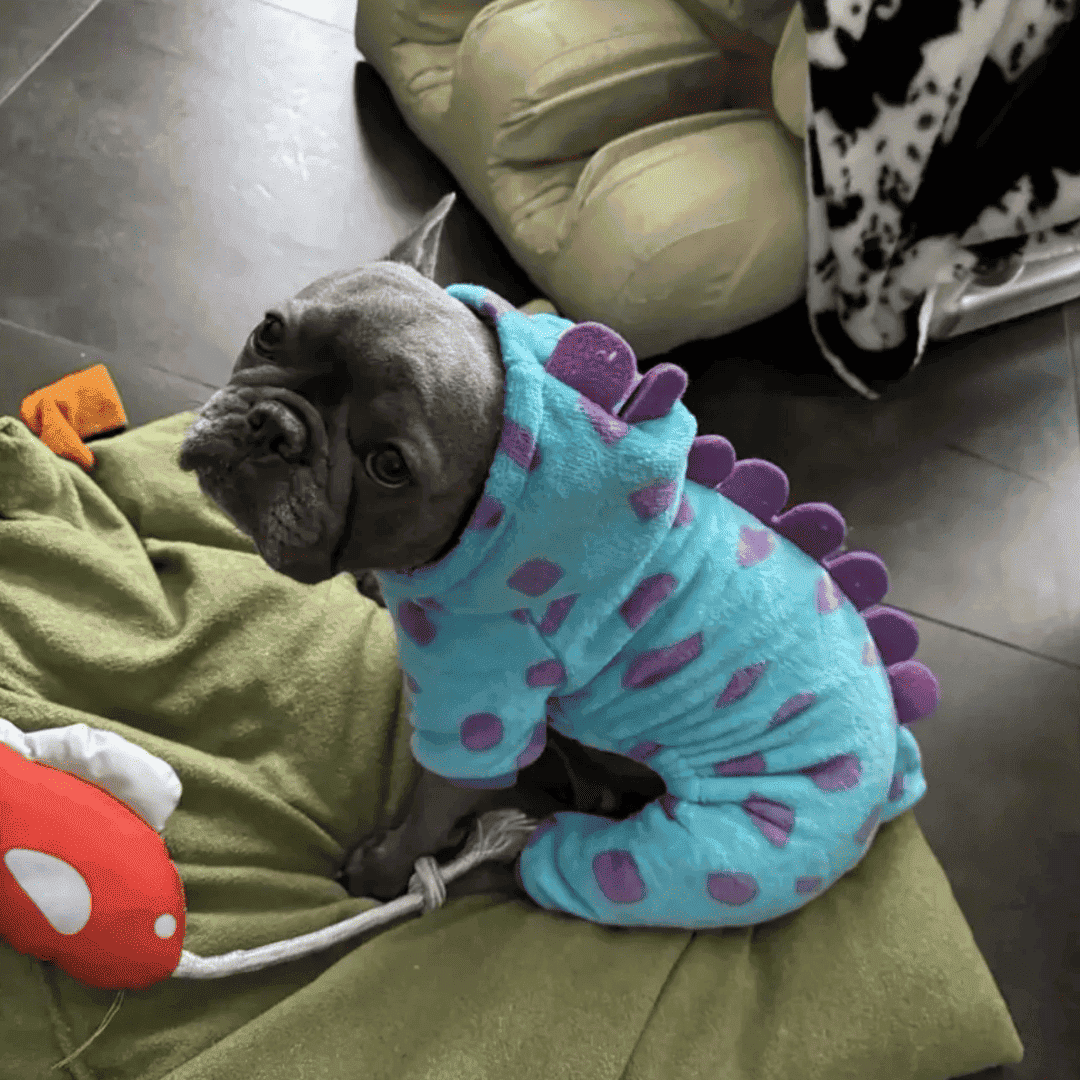 Review by Jaime Kauffman