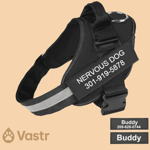No Pull Dog Harness