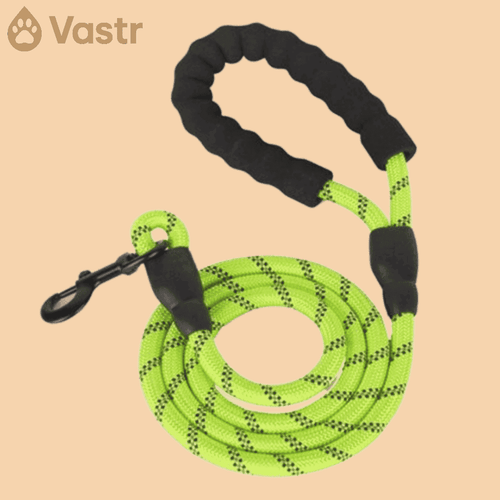 Reflective Dog leash