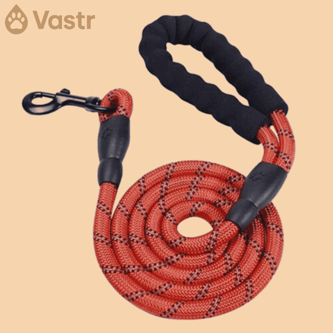 Reflective Dog leash