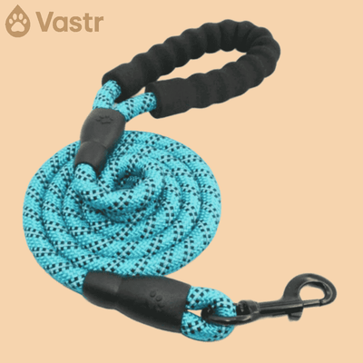 Reflective Dog leash