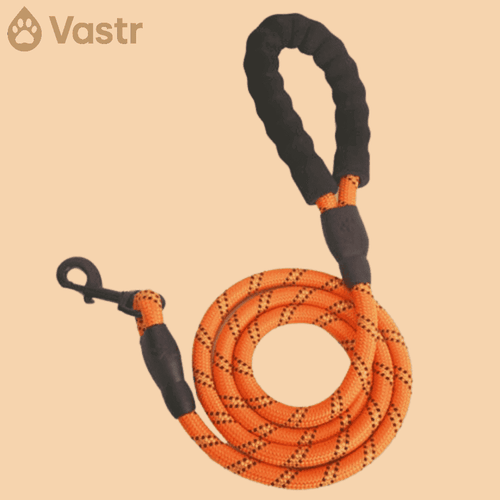 Reflective Dog leash