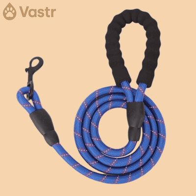 Reflective Dog leash