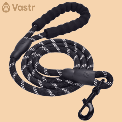 Reflective Dog leash