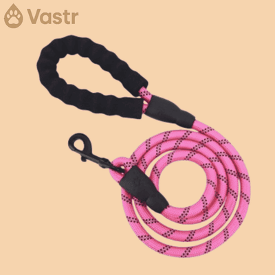 Reflective Dog leash