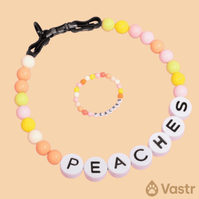Beaded Dog Collar + Free Matching Bracelet