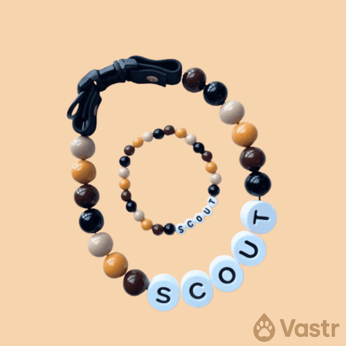 Beaded Dog Collar + Free Matching Bracelet