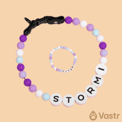 Beaded Dog Collar + Free Matching Bracelet