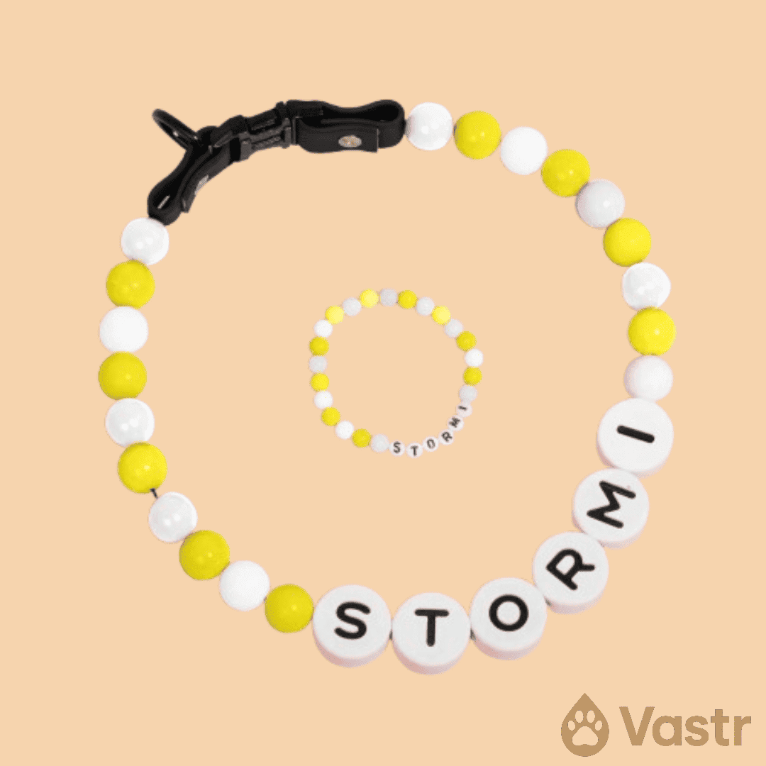 Beaded Dog Collar + Free Matching Bracelet