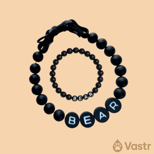 Beaded Dog Collar + Free Matching Bracelet