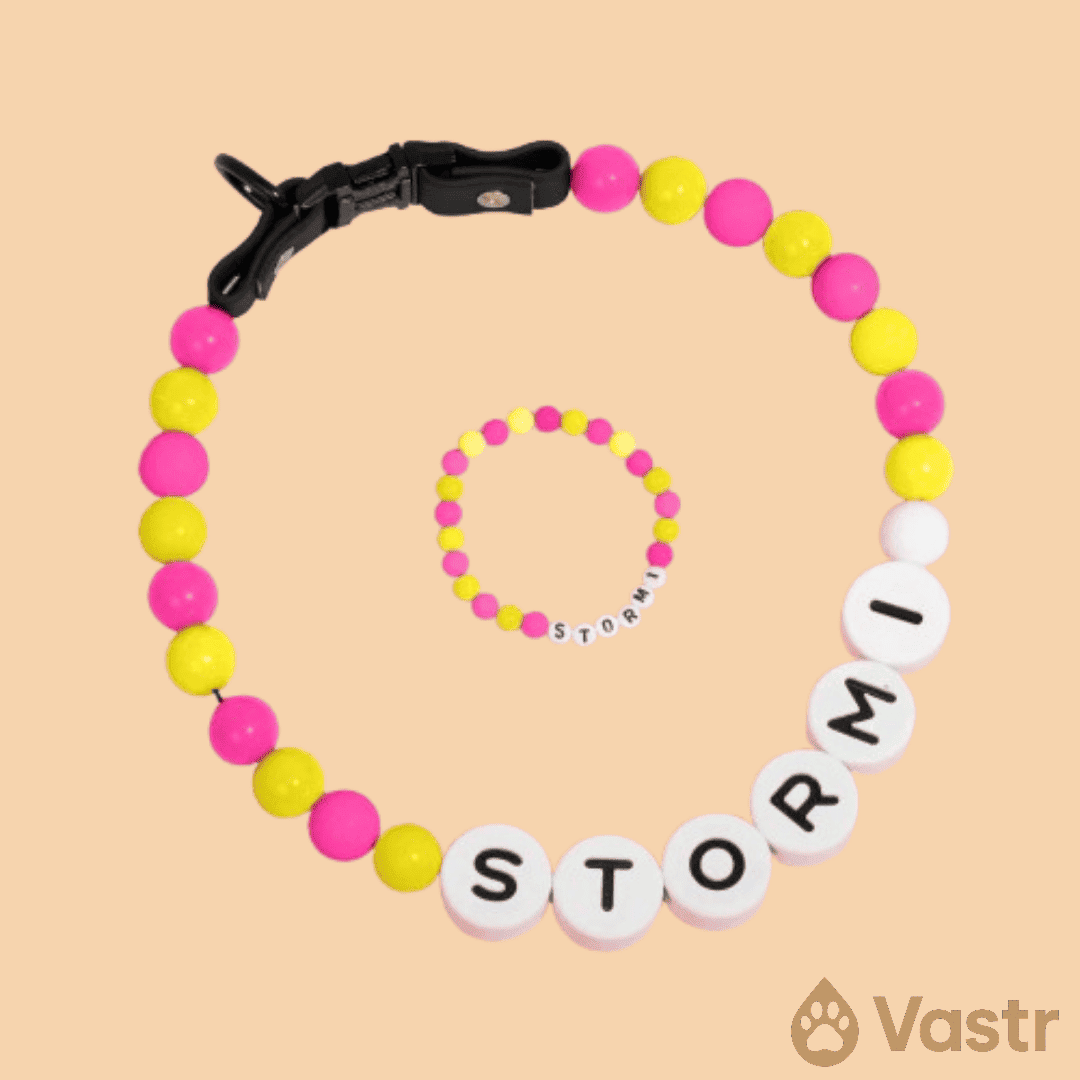 Beaded Dog Collar + Free Matching Bracelet