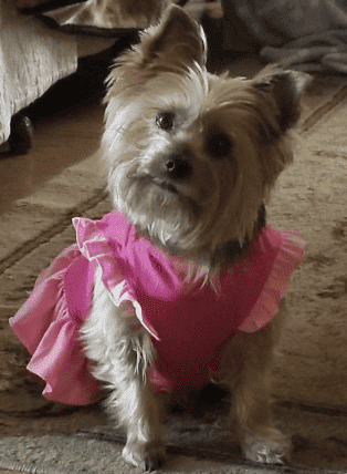 Review by Jonadine P