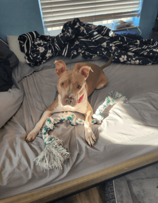 Review by Irene Arnone