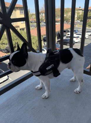 Review by Michelle K