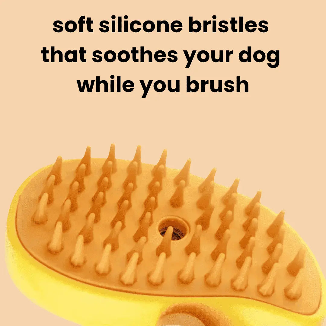 Misty Dog Brush